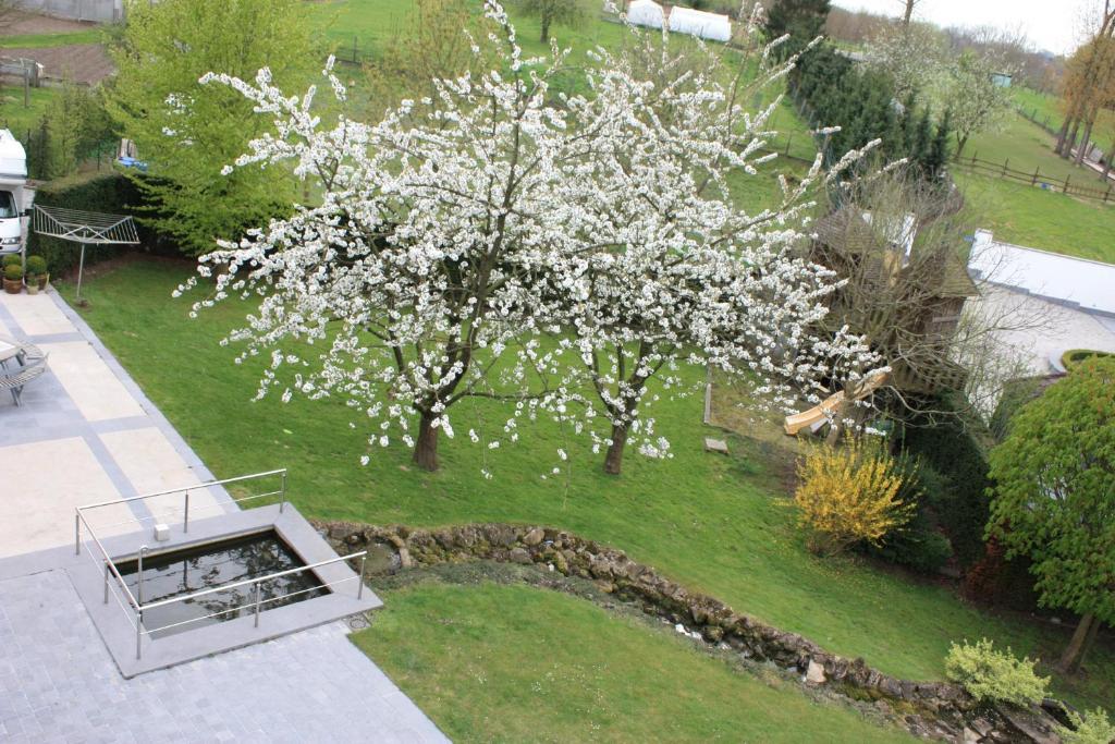 Hotel Gasthof Kapelhof Erpe-Mere 외부 사진